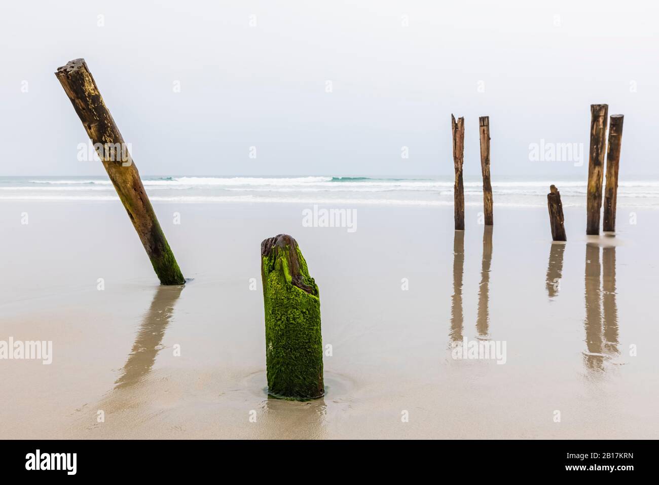 Nuova Zelanda, Oceania, Isola del Sud, Otago, Dunedin, Saint Clair Poles, vecchi pali di legno del molo sulla spiaggia di Saint Clair Foto Stock