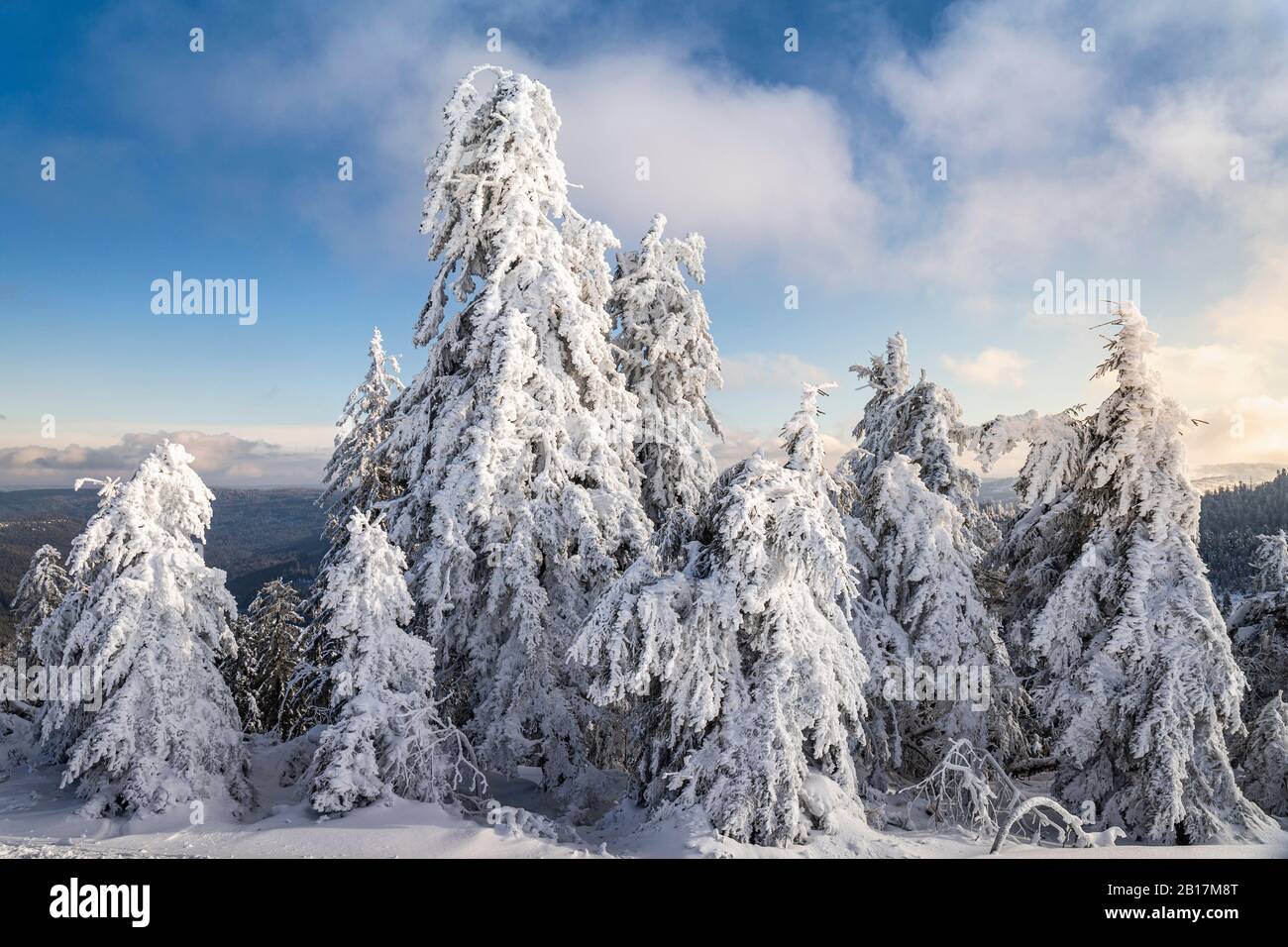 Paesaggio invernale a Hornisgrende, Foresta Nera, Germania Foto Stock