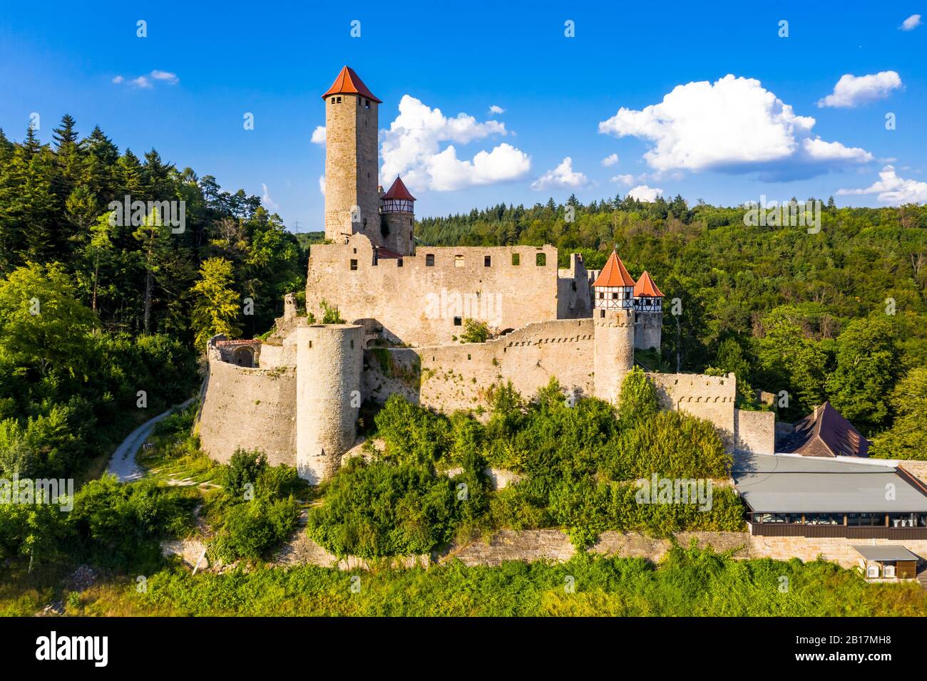 Germania, Baden-Wurtemberg, Neckarzimmern, Castello di Hornberg in estate Foto Stock