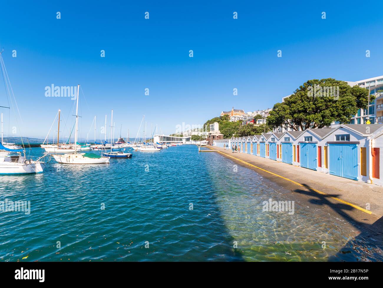 Nuova Zelanda, Isola Del Nord, Port Nicholson Boat Sheds. Foto Stock