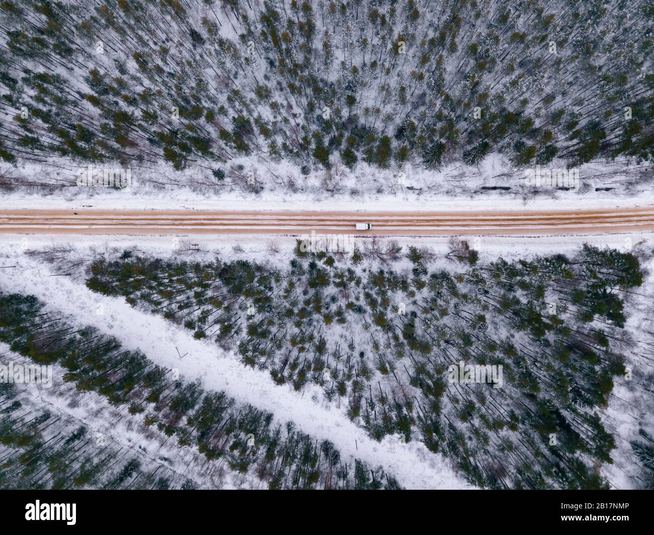 Russia, regione di Leningrado, veduta aerea della foresta che attraversa la strada in inverno Foto Stock