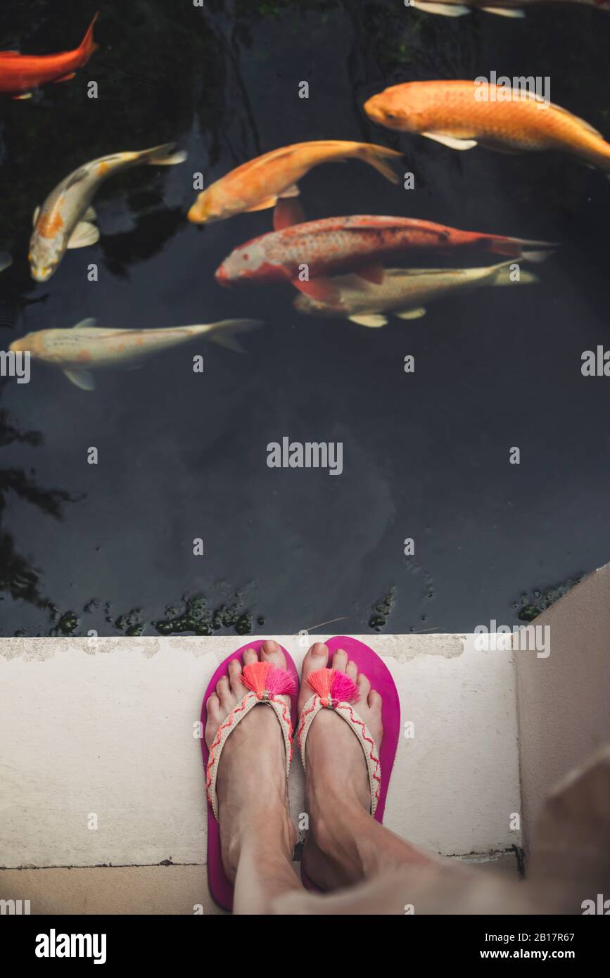 Primo piano di donna in flip flop in piedi in una piscina con koi Foto Stock