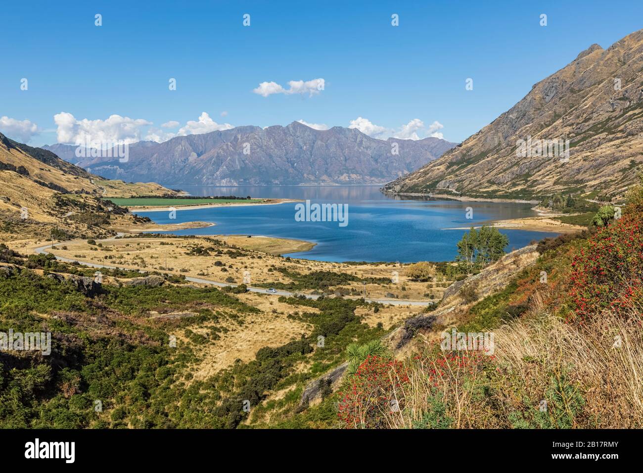 Nuova Zelanda, Queenstown-Lakes District, Wanaka, vista panoramica del lago Hawea in estate Foto Stock