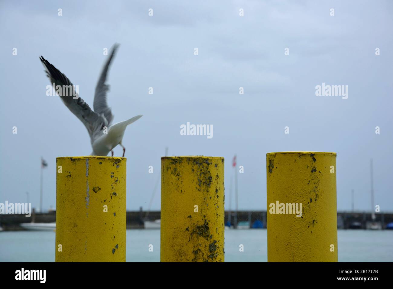 Seagull volare lontano da strutto Foto Stock