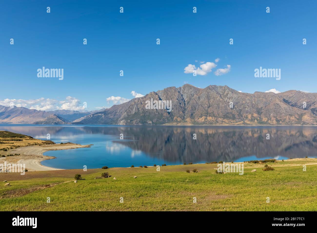 Nuova Zelanda, Queenstown-Lakes District, Wanaka, vista panoramica del lago Hawea in estate Foto Stock