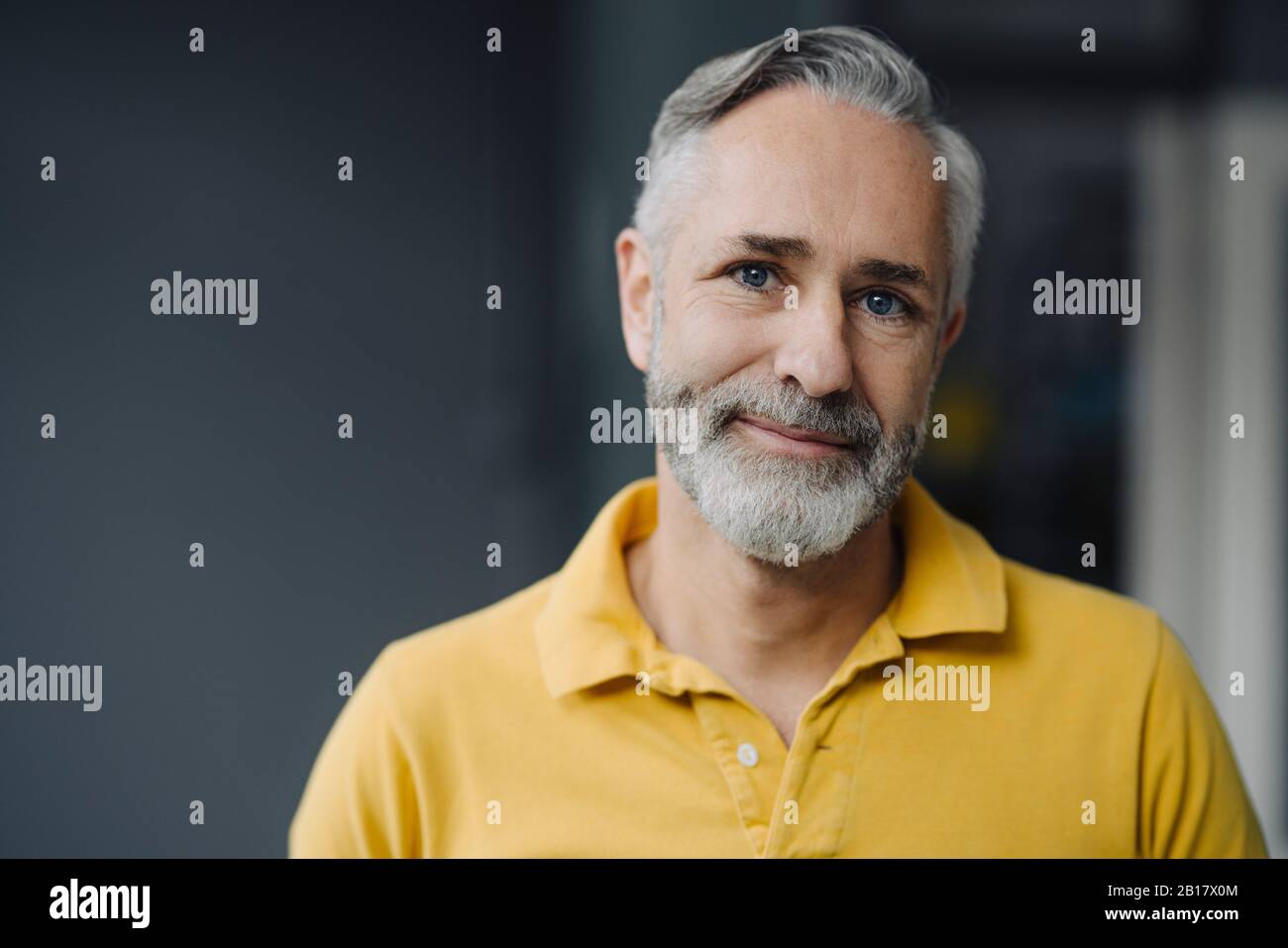 Ritratto di uomo maturo sorridente con barba grigia e occhi blu Foto Stock