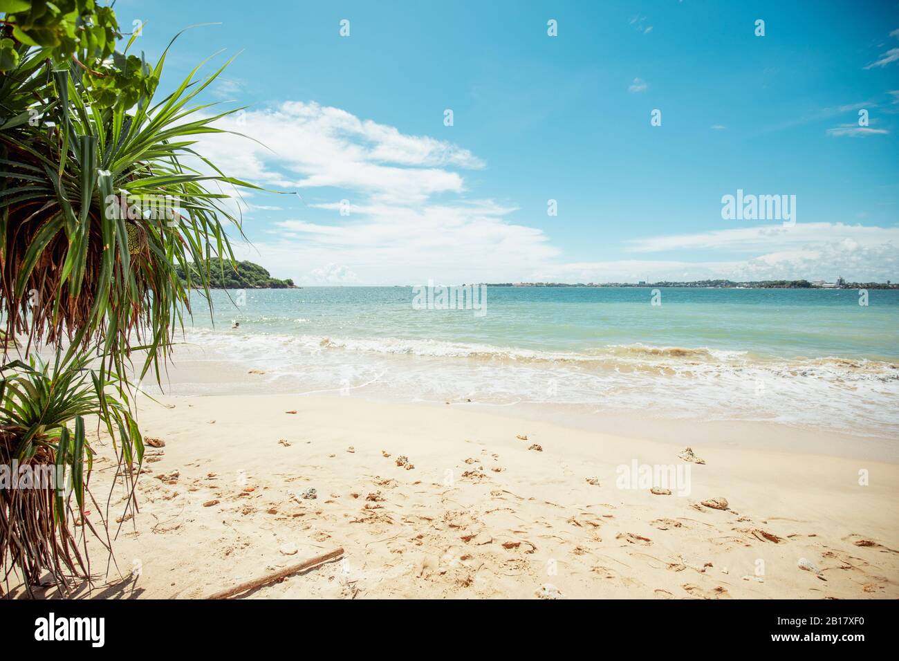 Sri Lanka, Provincia meridionale, Galle, spiaggia costiera di sabbia in estate Foto Stock
