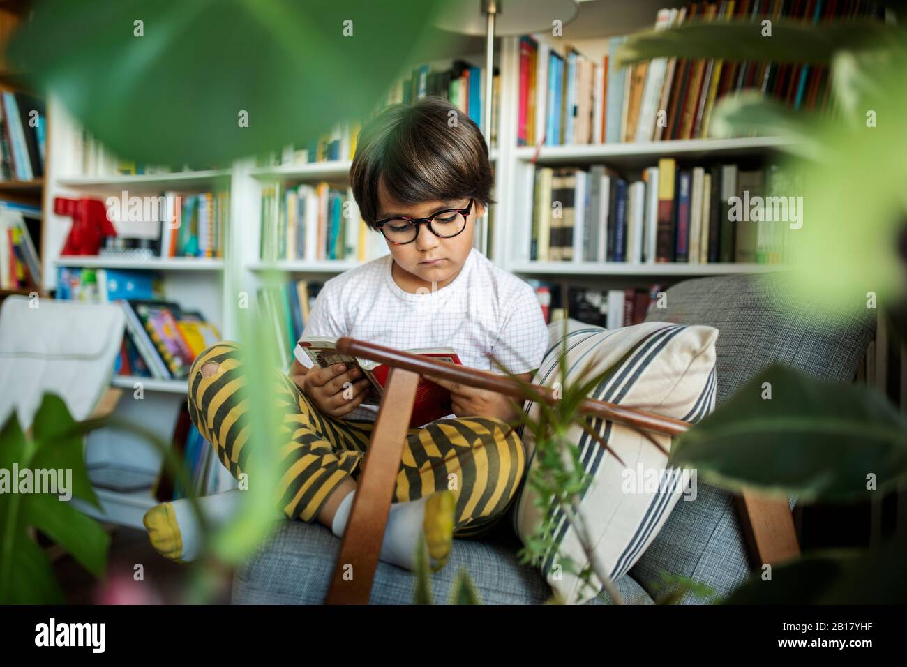 Ritratto di ragazzo concentrato con occhiali seduti su poltrona leggere libro Foto Stock