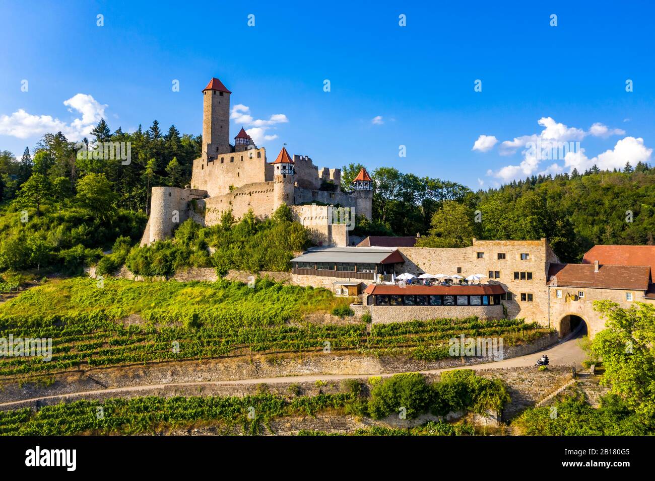 Germania, Baden-Wurtemberg, Neckarzimmern, Castello di Hornberg in estate Foto Stock