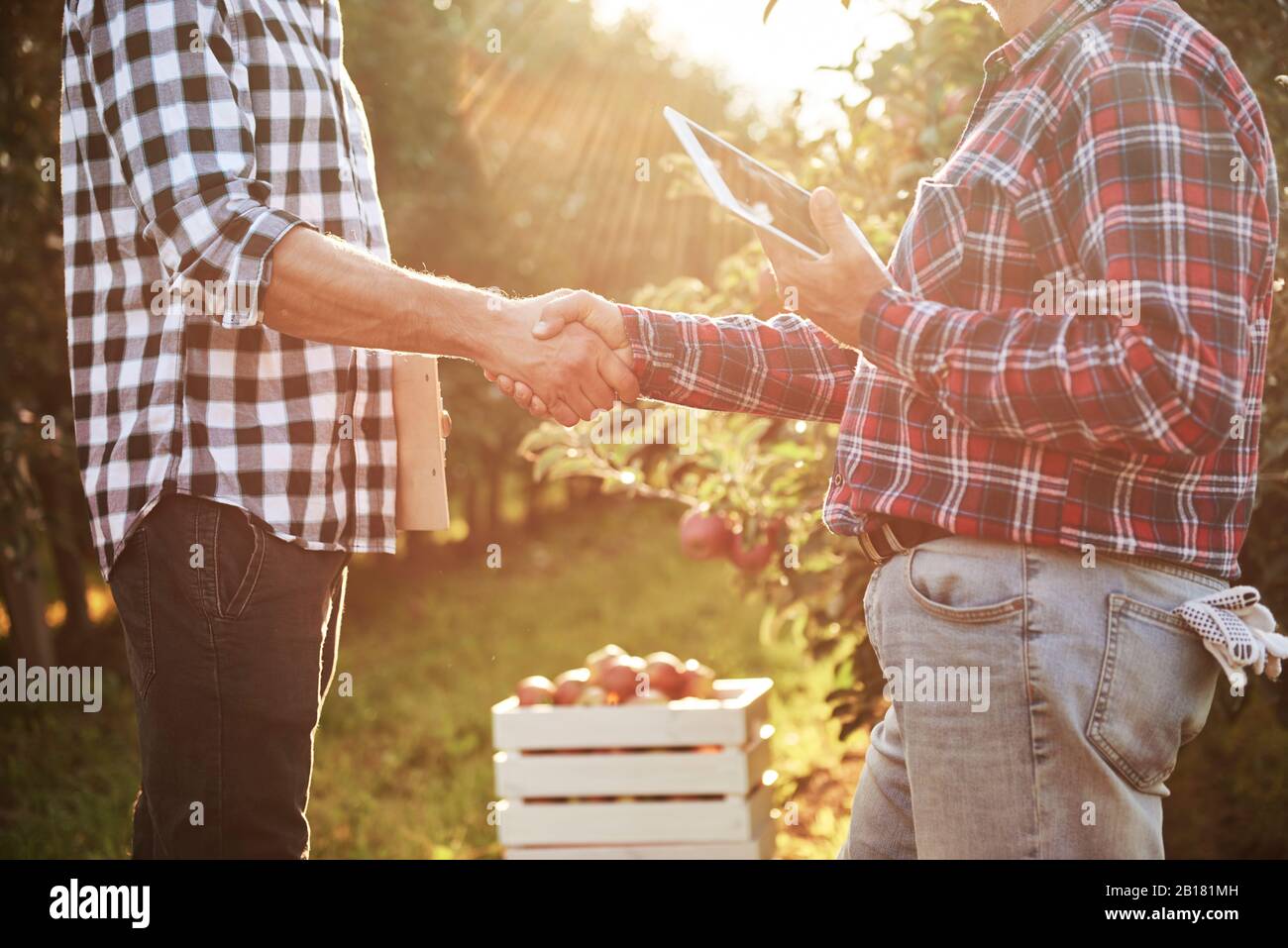 Frutticoltori che concordano su un accordo, scuotendo le mani Foto Stock