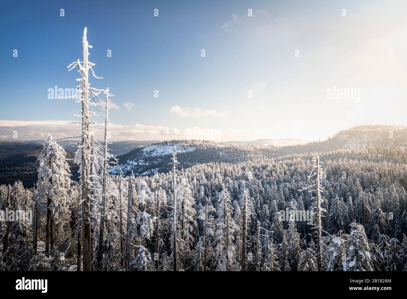 Paesaggio invernale a Hornisgrende, Foresta Nera, Germania Foto Stock