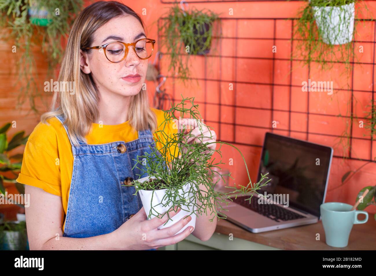 Donna che si prende cura di una pianta di Rhippalis sulla sua terrazza Foto Stock