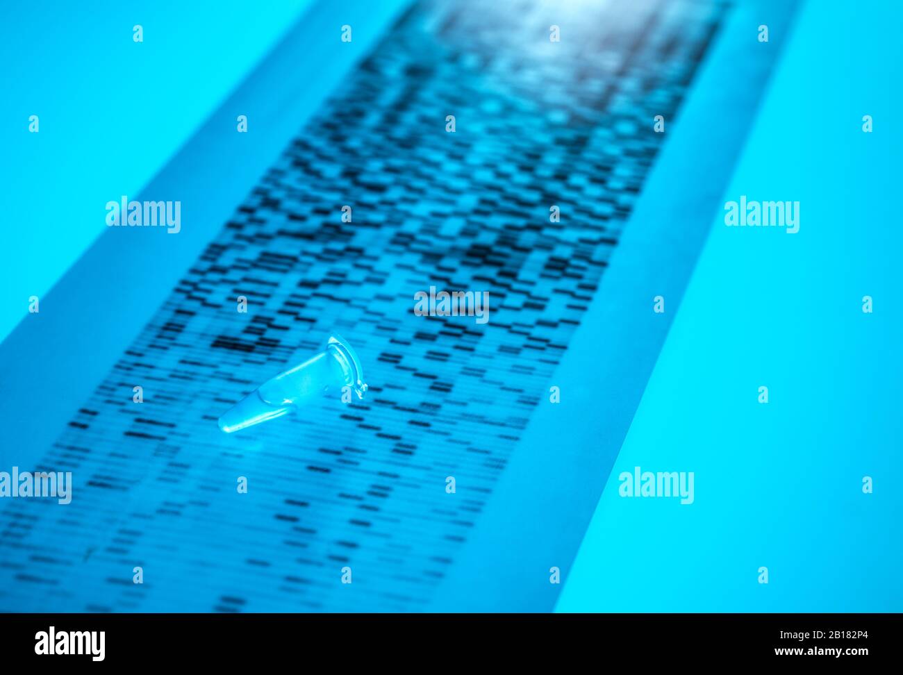 Primo piano del campione di DNA presente nel grafico dei risultati del sequenziamento del DNA Foto Stock