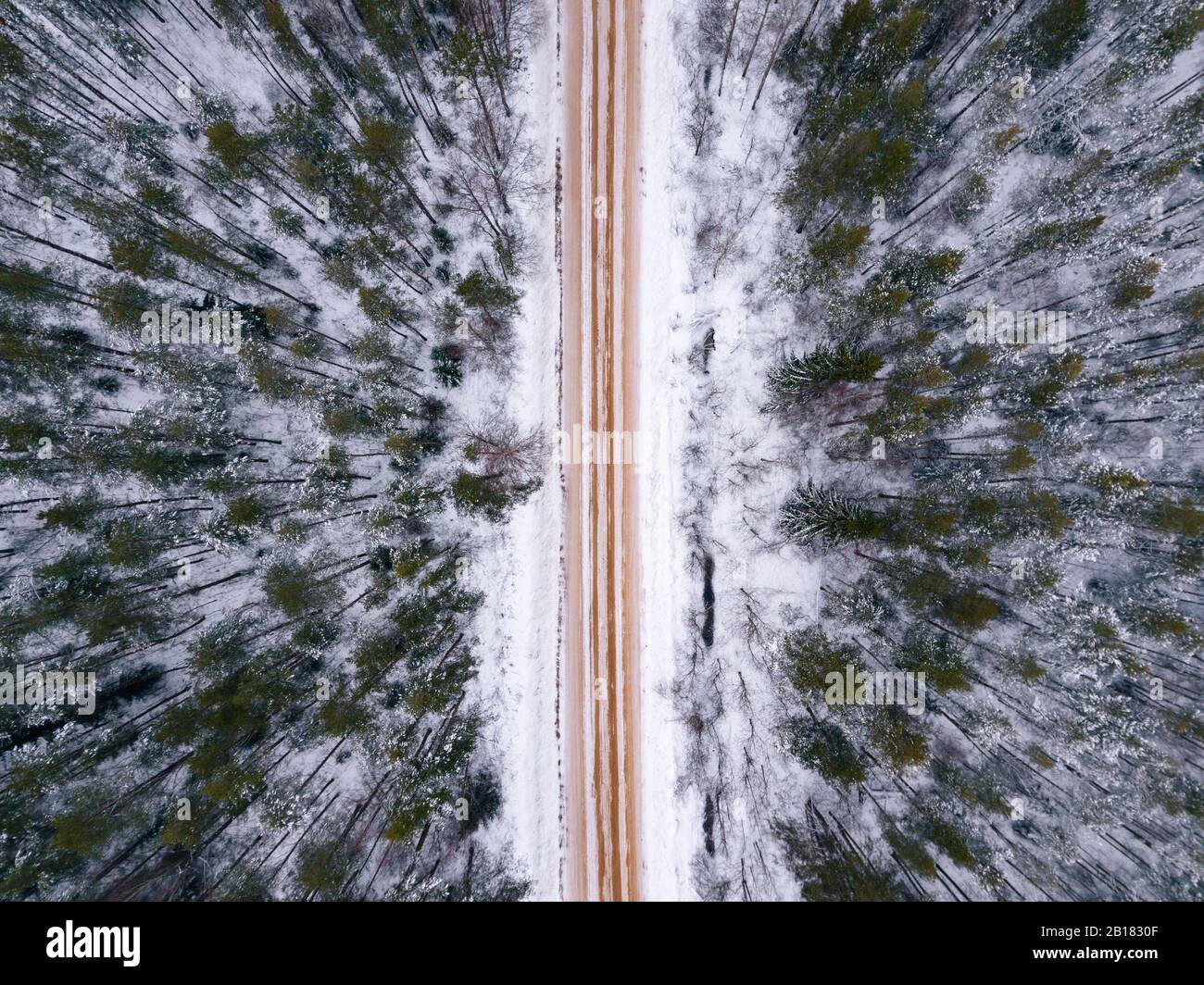 Russia, regione di Leningrado, veduta aerea della foresta che attraversa la strada in inverno Foto Stock