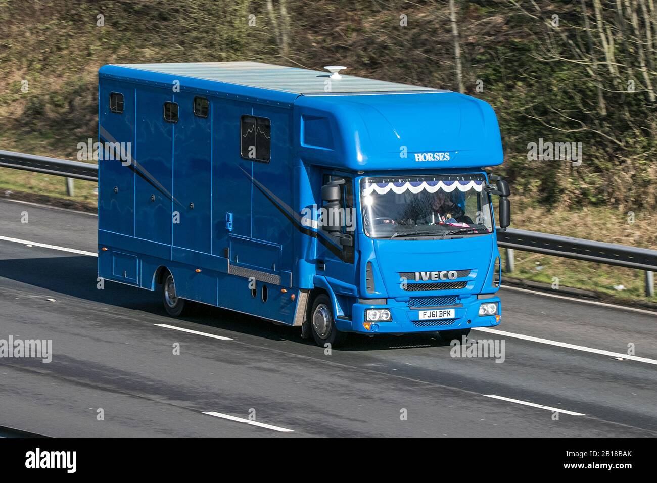 Blue Iveco horsebox van; trasporto di animali che viaggia sull'autostrada M6, Lancashire, Regno Unito Foto Stock