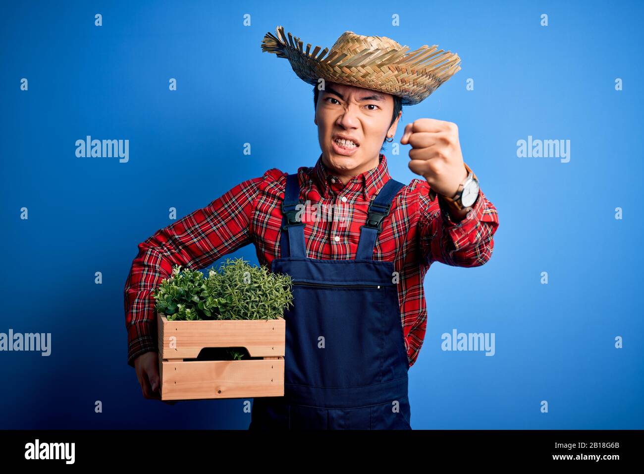 Giovane bel contadino cinese uomo che indossa grembiule e cappello di  paglia scatola con piante infastidite e frustrate gridando con rabbia,  pazzo e urlante wi Foto stock - Alamy