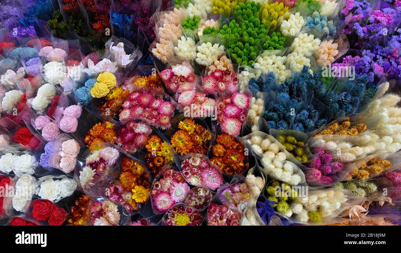 Una varietà di fiori colorati avvolti in involucri trasparenti. Vista dall'alto. Foto Stock