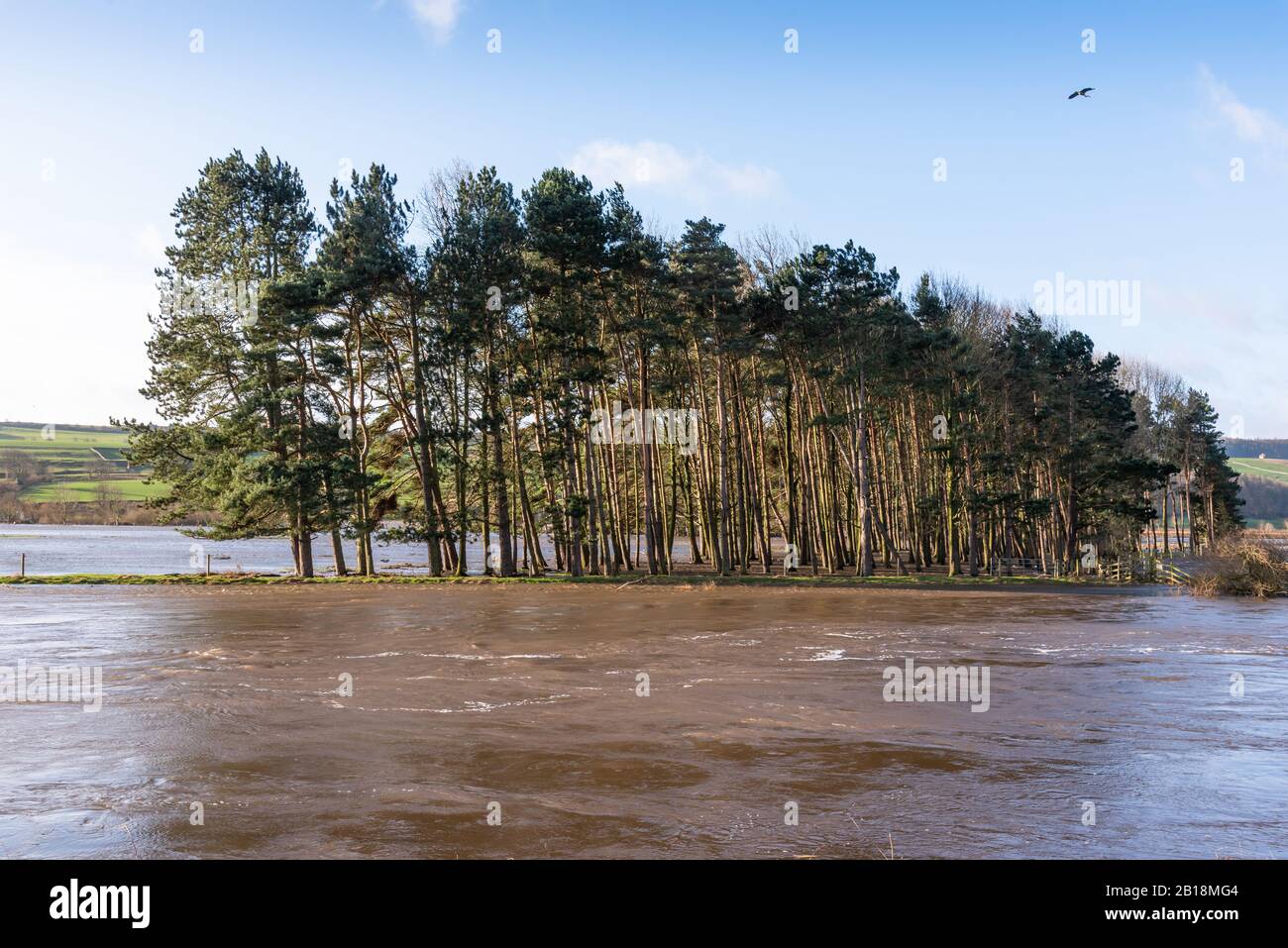 Fiume Ure allagato a Wensleydale, North Yorkshire Foto Stock