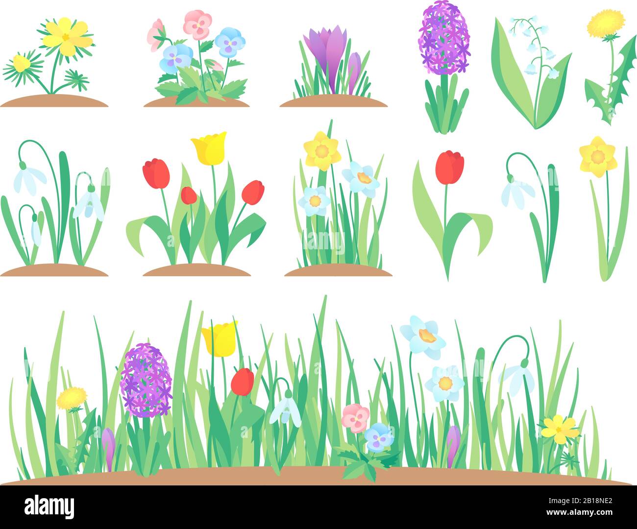 Fiori di primavera. Giardino tulipano fiore, prime piante floreali e tulipani piante giardinaggio isolato vettore set Illustrazione Vettoriale