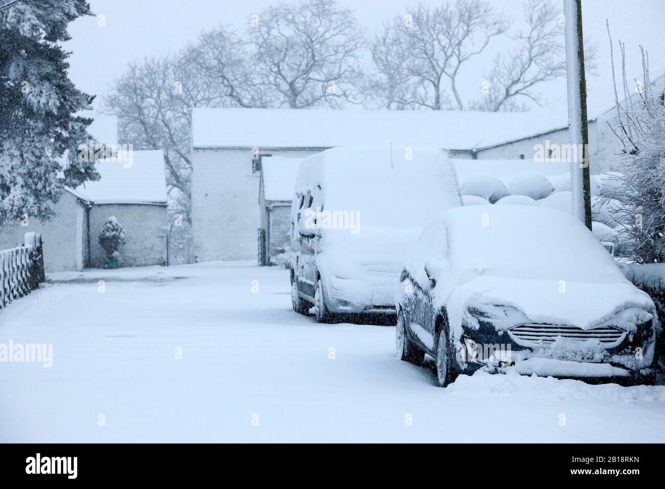 Teesdale, County Durham, Regno Unito. 24th febbraio 2020. Meteo Regno Unito. Con un avvertimento meteo giallo in vigore per la neve, la neve pesante sta cadendo a Teesdale, nel Nord Est dell'Inghilterra. Credit: David Forster/Alamy Live News Foto Stock