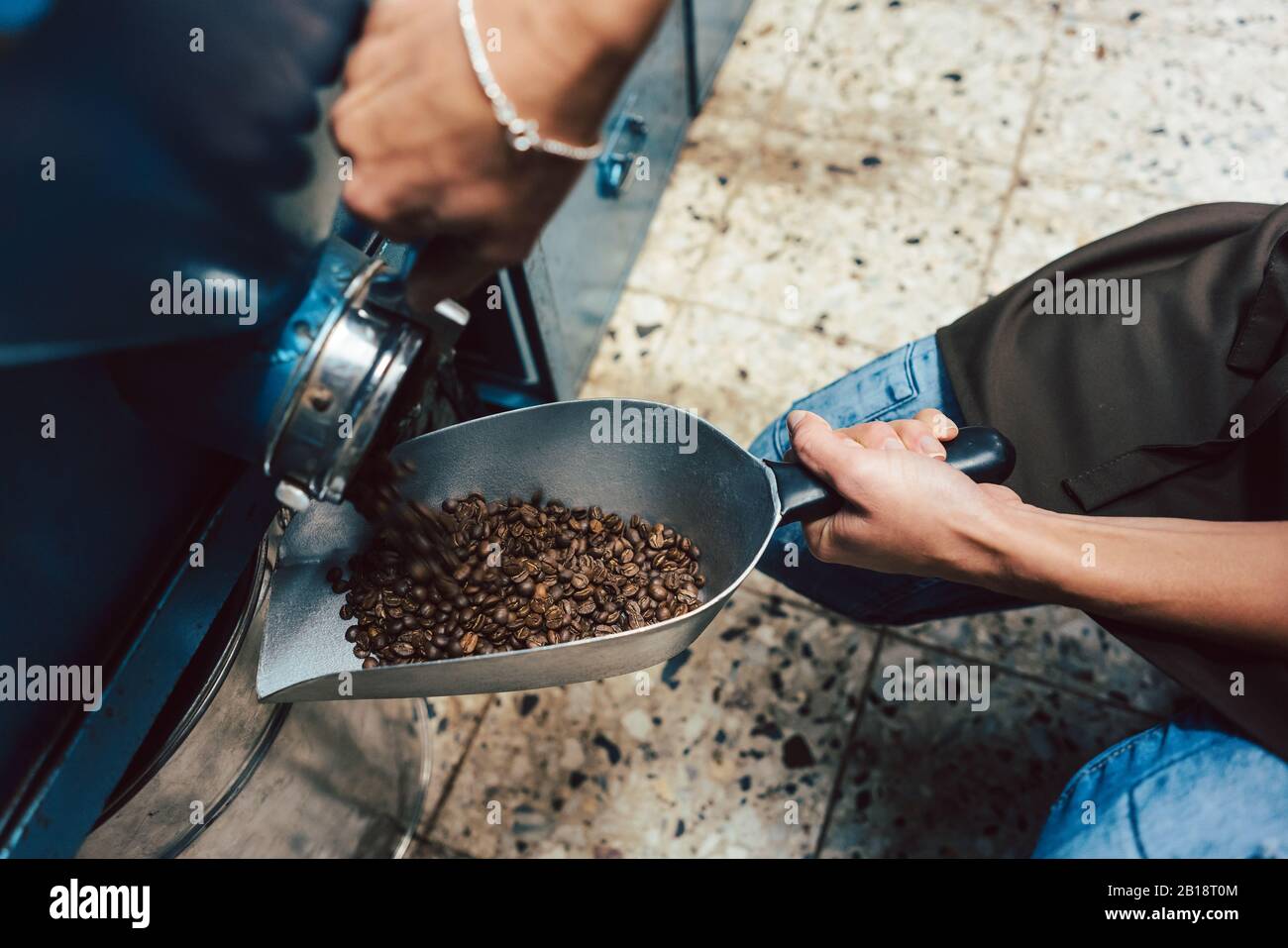 Donna prendendo i chicchi di caffè fuori dello storage Foto Stock