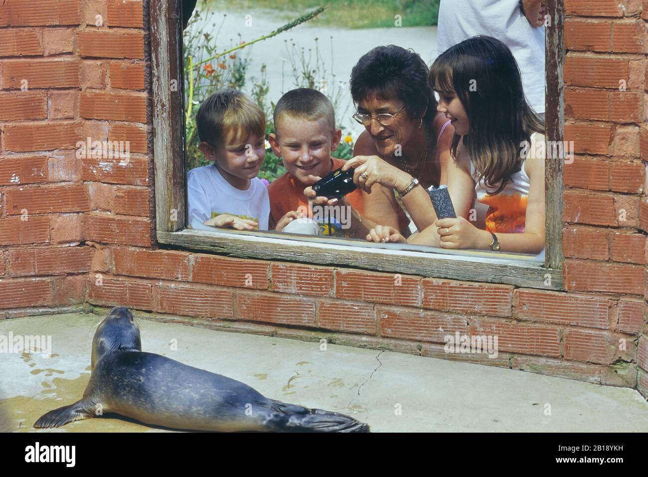 Il Seal Sanctuary And Wildlife Centre, Mablethorpe, Lincolnshire, Inghilterra, Regno Unito. Anni '90 circa Foto Stock