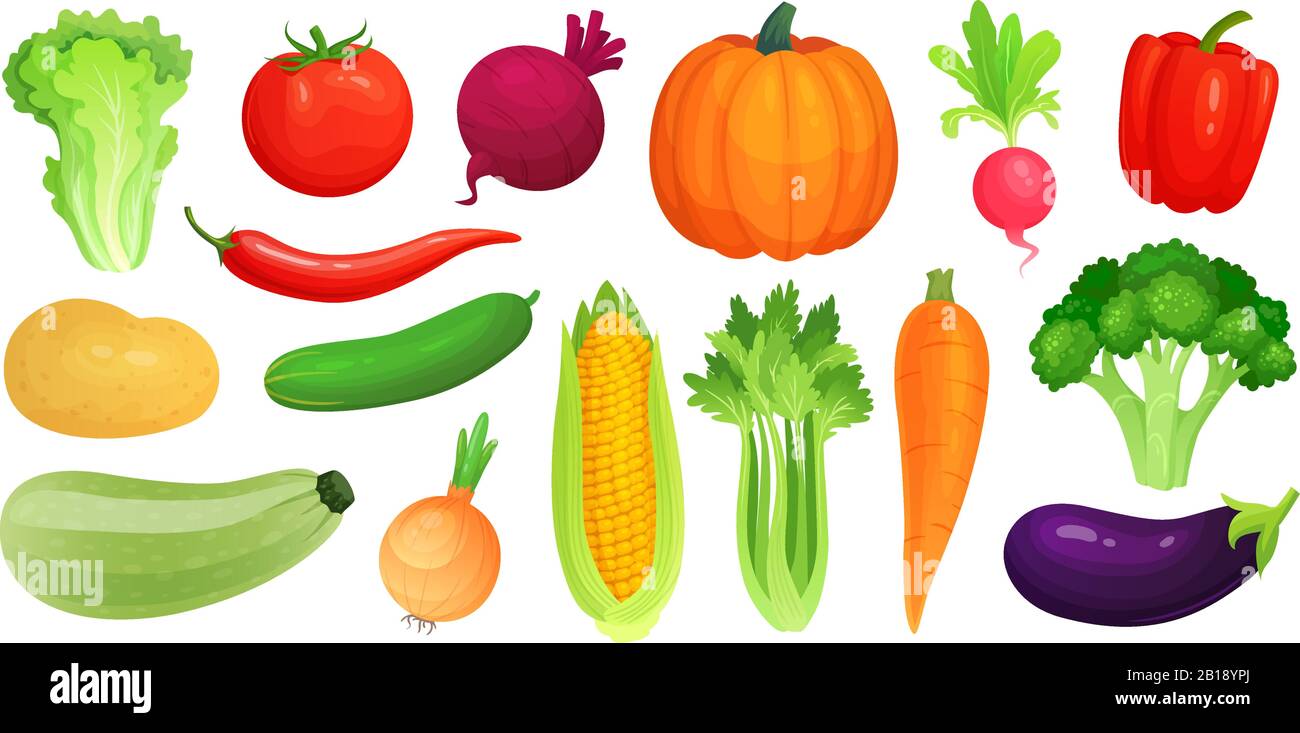 Verdure di cartone animato. Verdure fresche vegane, zucchine crude e sedano. Set di illustrazioni vettoriali per lattuga, pomodoro e carota Illustrazione Vettoriale