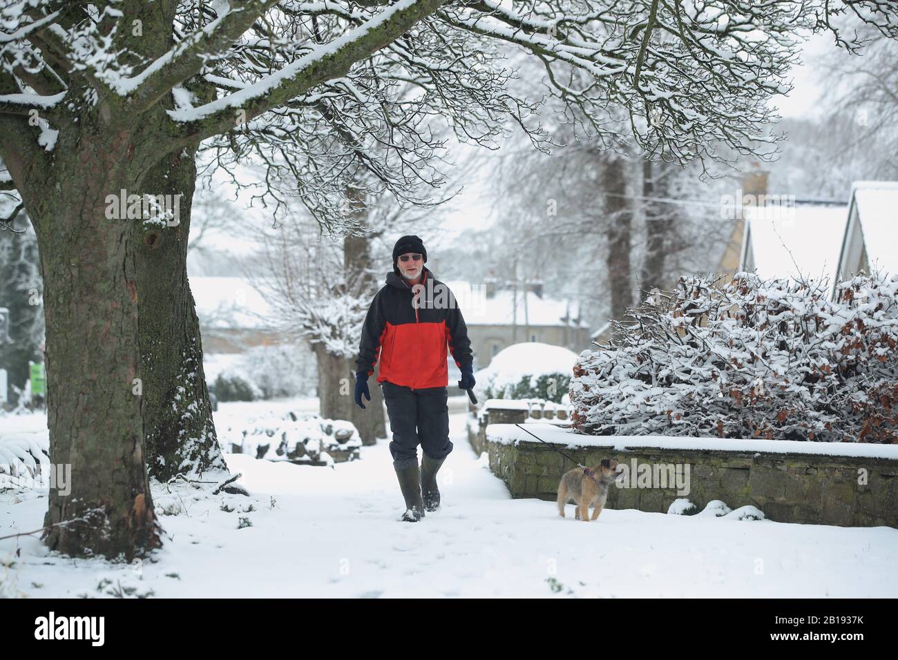 Un uomo cammina il suo cane nella neve a Leyburn nello Yorkshire Dales dopo la notte neve colpito parti del Regno Unito. Foto Stock