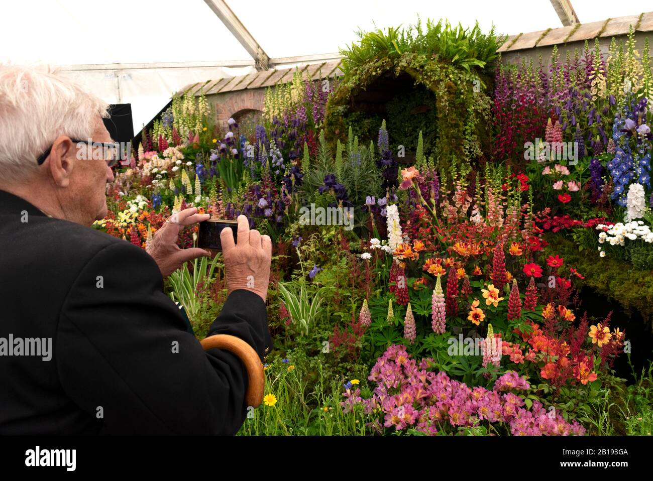 signore anziano che scatta la foto di una mostra del giardino del cottage ad una esposizione dei fiori in inghilterra, regno unito. Foto Stock