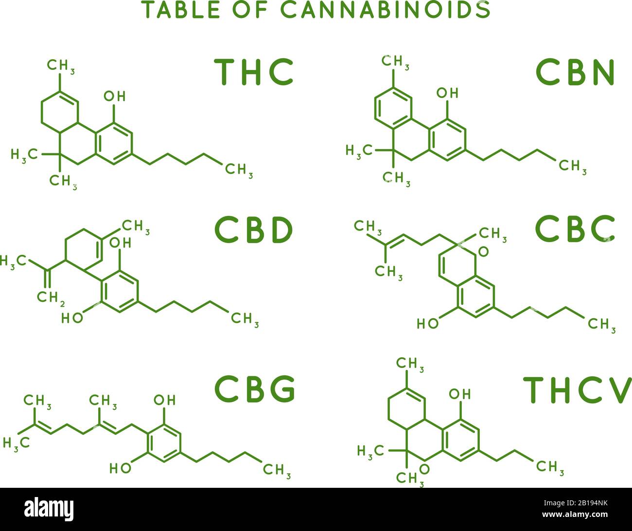 Struttura dei cannabinoidi. Strutture molecolari dei cannabidioli, THC e formula CBD. Illustrazione vettoriale delle molecole di marijuana o cannabis Illustrazione Vettoriale