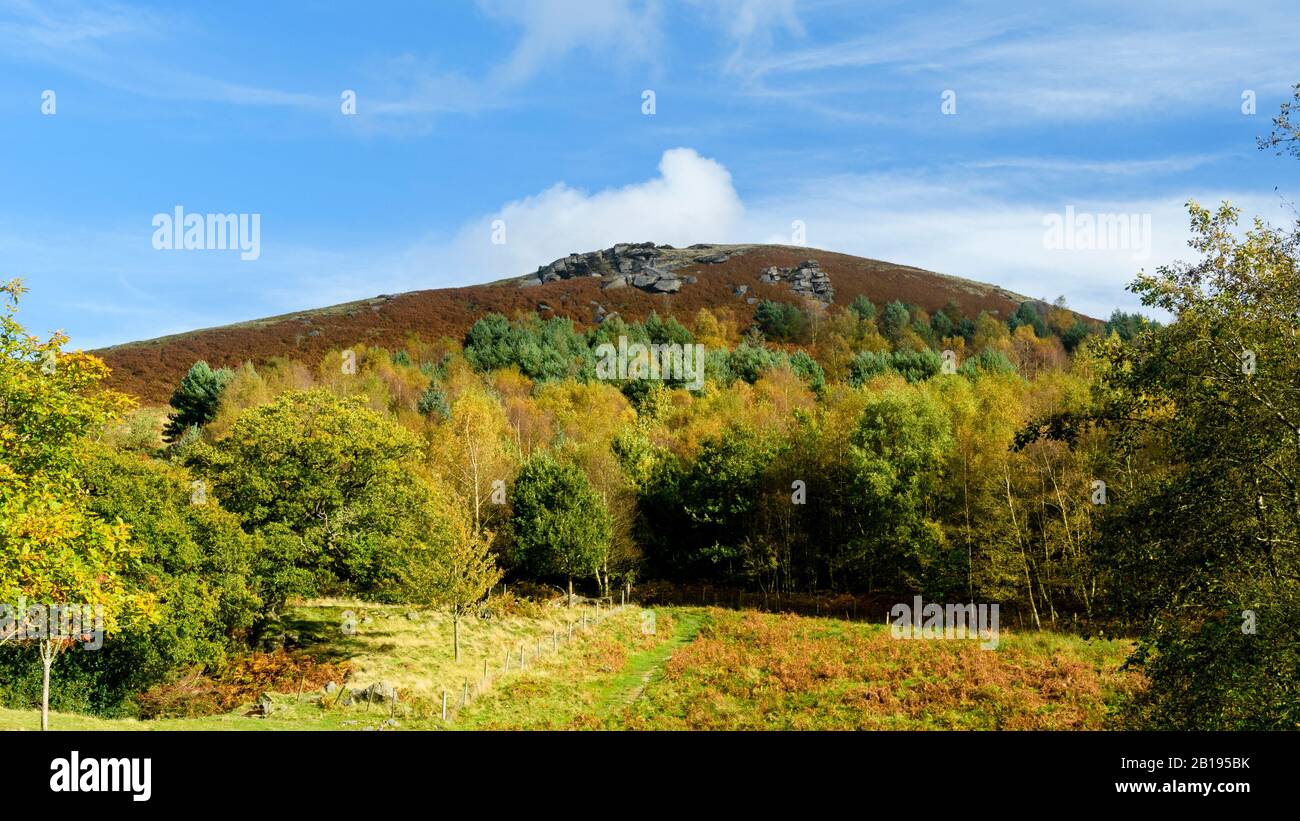 Vista panoramica rurale (colori autunnali, ripide colline o brughiere soleggiate, cima di alta collina e crag, cielo blu) - Bolton Abbey, North Yorkshire, Inghilterra, Regno Unito. Foto Stock