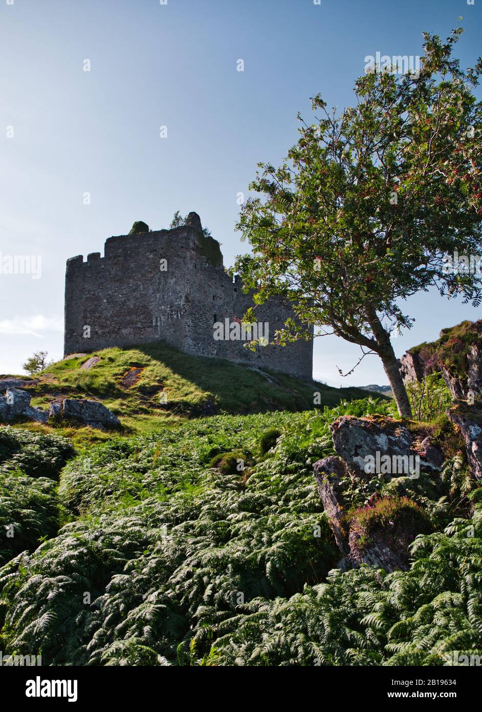 Antico castello in rovina Tioram sull'isola di Eilean Tioram, Loch Moidart, Lochaber, Highland, Scozia Foto Stock