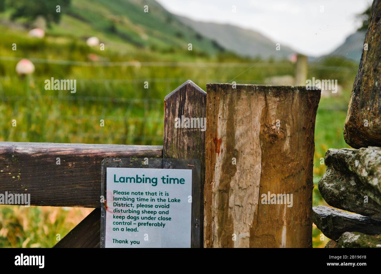 Cartello segnaletico per i proprietari di cani al gate, Lake District, Cumbria, Inghilterra Foto Stock