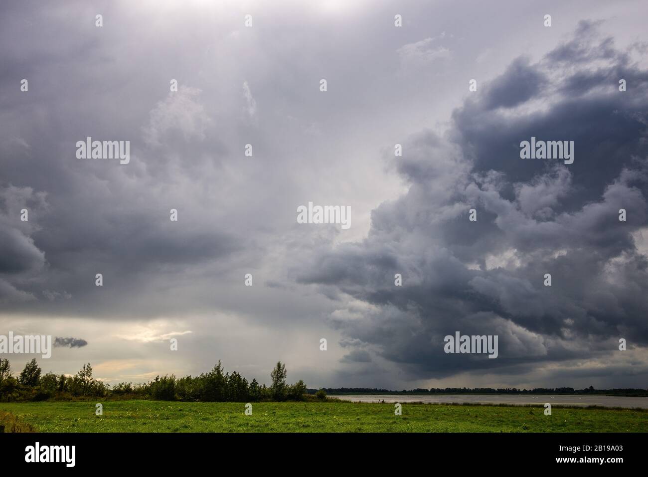 Doccia a pioggia pesante a Biesbosch, Olanda, Parco Nazionale De Biesbosch, Polder Noordwaard Foto Stock