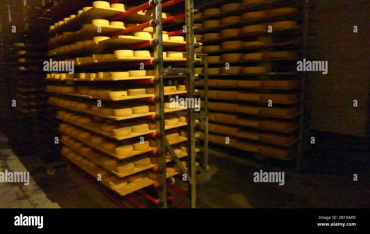 Deposito di formaggi ad Allgaeu, Germania, Baviera, Allgaeu Foto Stock
