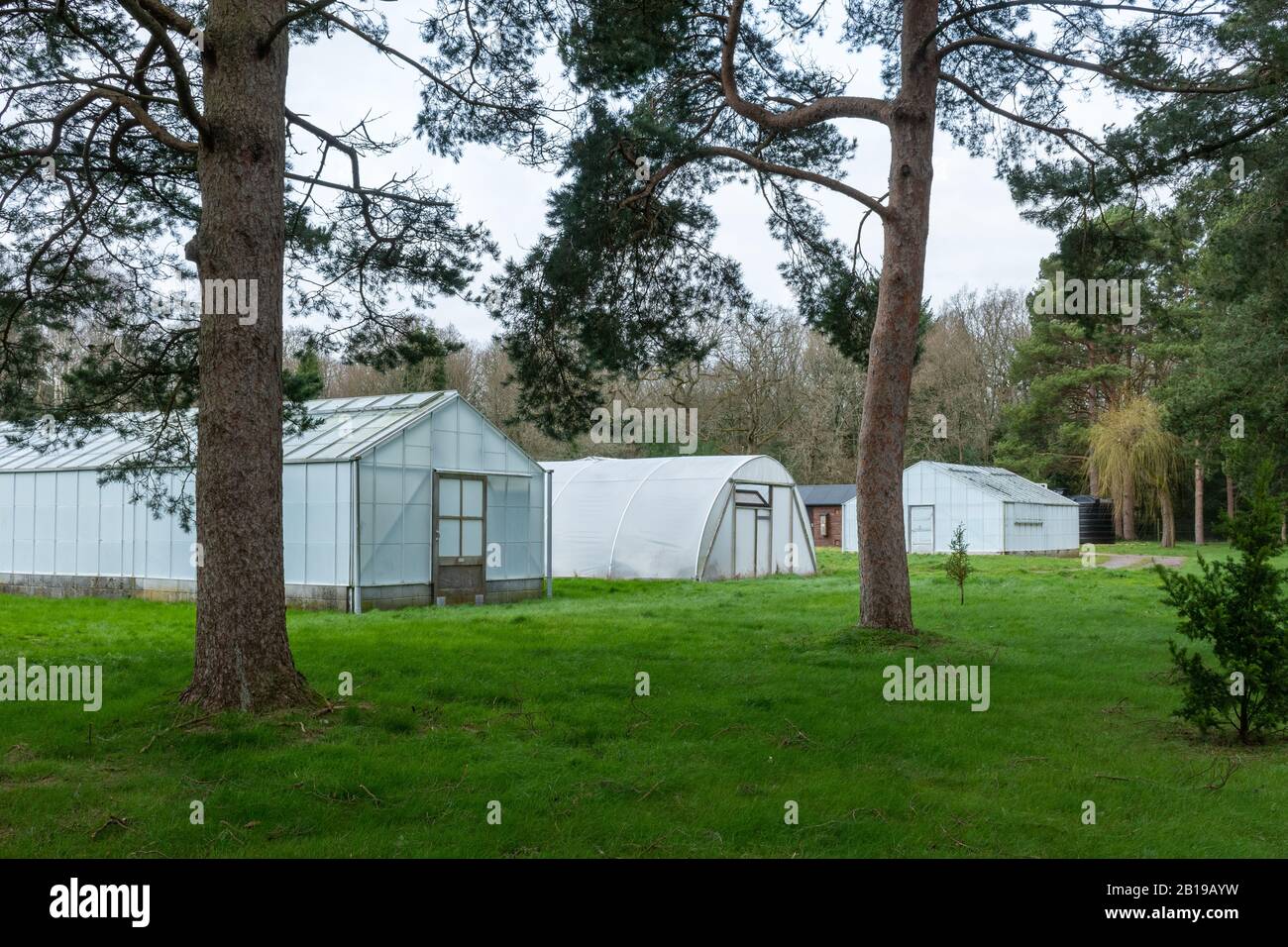Alice Holt Forest Research Station in Hampshire, Inghilterra, Regno Unito, specializzata in scienze forestali e degli alberi Foto Stock
