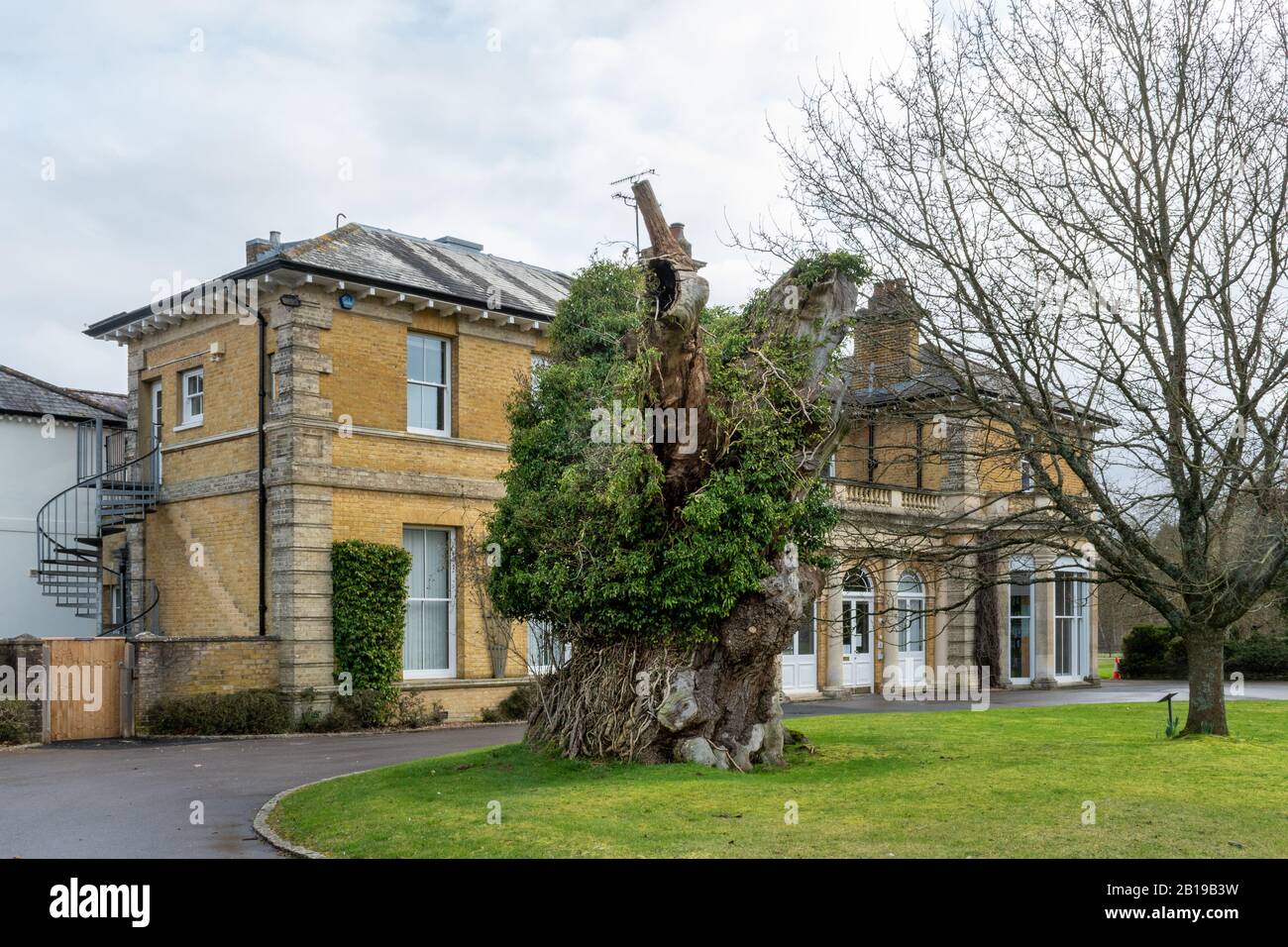 Alice Holt Forest Research Station in Hampshire, Inghilterra, Regno Unito, specializzata in scienze forestali e degli alberi Foto Stock