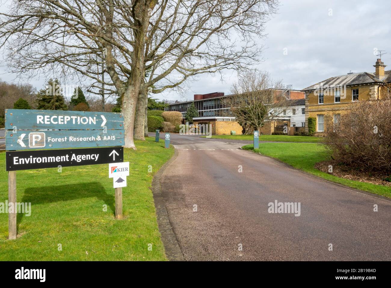 Alice Holt Forest Research Station in Hampshire, Inghilterra, Regno Unito, specializzata in scienze forestali e degli alberi Foto Stock