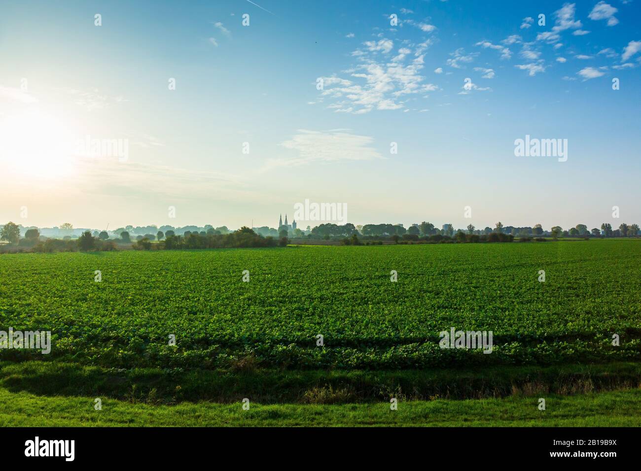 Land van Cuijk, il paesaggio agricolo nel piccolo villaggio Cuijk e sul fiume Meuse, Paesi Bassi sotto un cielo blu. Famoso punto di riferimento turistico fo Foto Stock