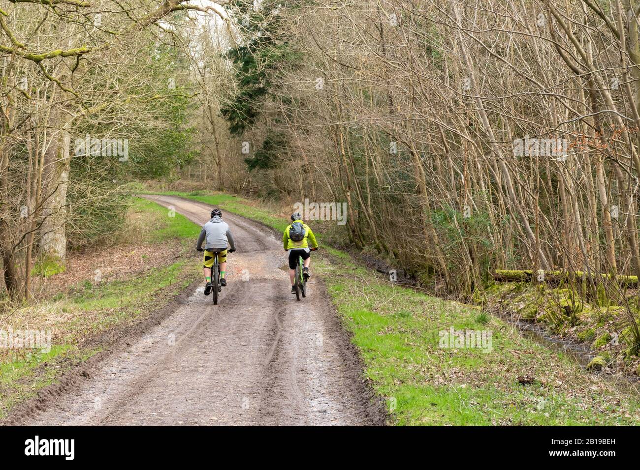 Pedalando lungo un sentiero nella foresta di Alice Holt, Hampshire, Regno Unito Foto Stock
