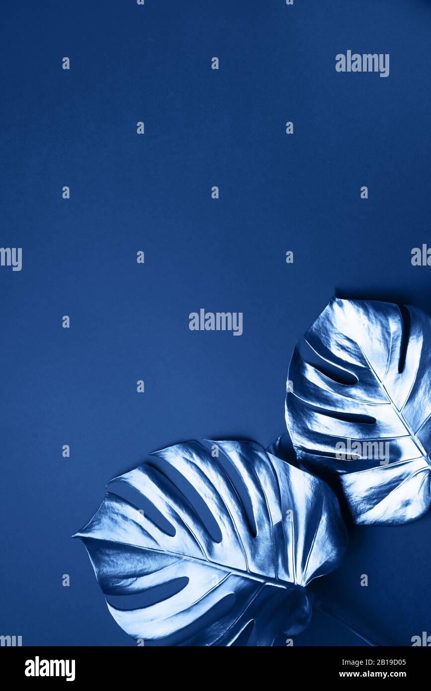 Estate esotici tendenza in stile minimal. Tropical palm monstera foglia sul blu classico colore di sfondo. Lucido e sparkle design, fashion concept Foto Stock