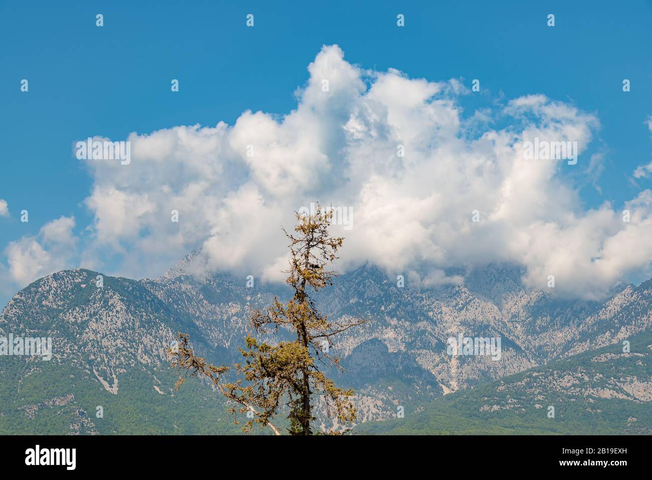 Alte montagne tra le nuvole, tempo soleggiato Foto Stock