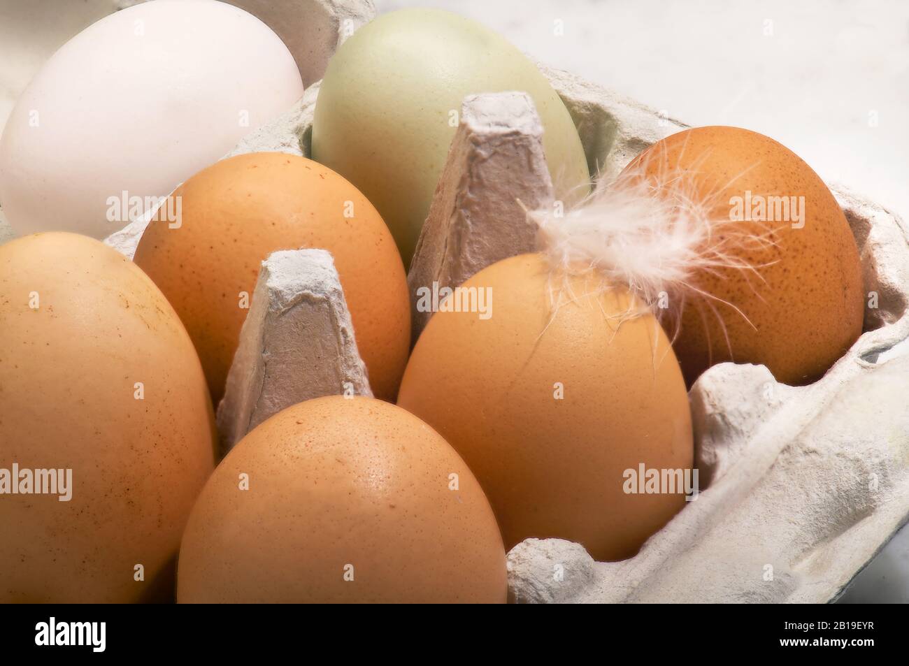 Saluto dalla gallina, uova biologiche provenienti dalla fattoria biologica Foto Stock