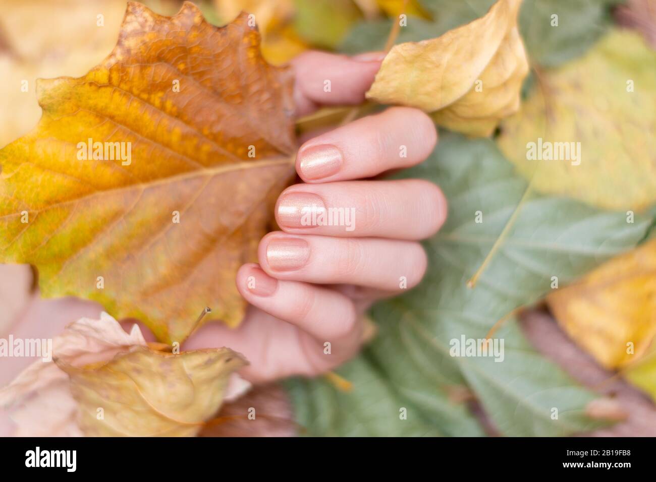 Mano femmina con chiodo glitterato che tiene le foglie gialle. Foto Stock