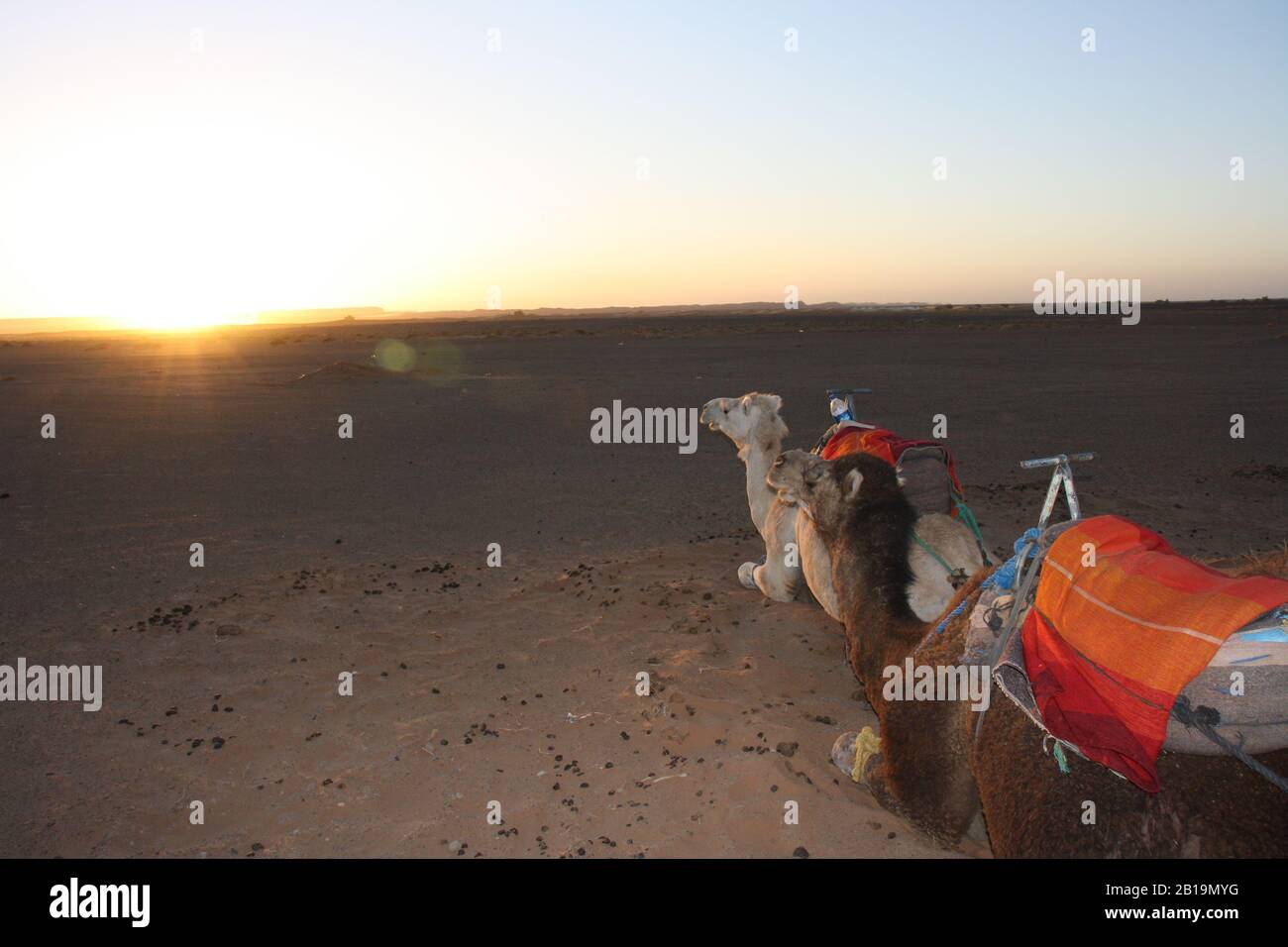 Bel Marocco orientale Foto Stock