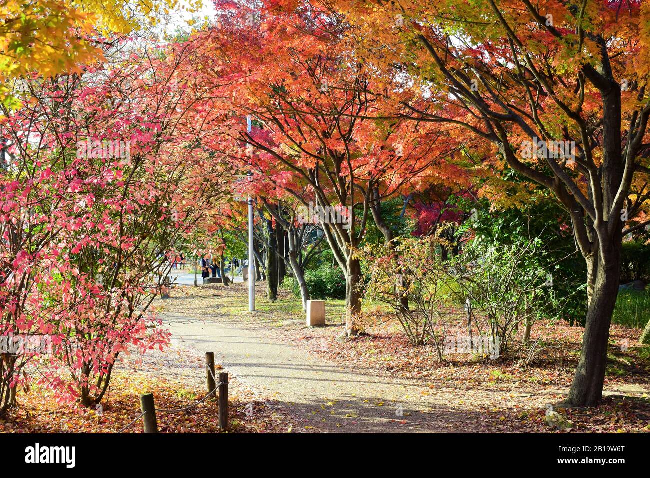 Scena di autunno Foto Stock