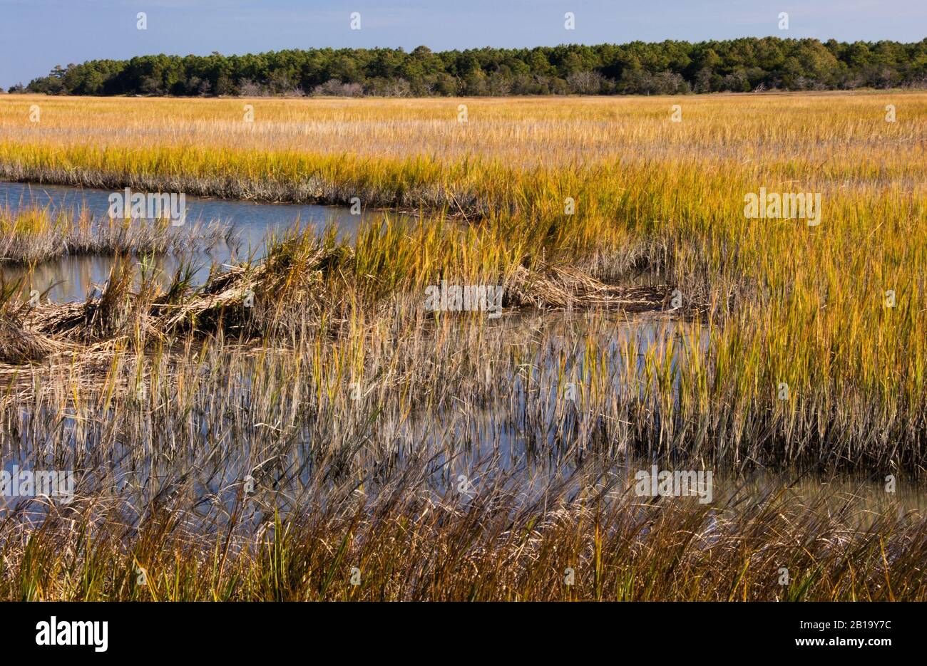 Una palude di acqua salata in una giornata di vento brezze al Huntington Beach state Park a Murrells Inlet South Carolina. Foto Stock