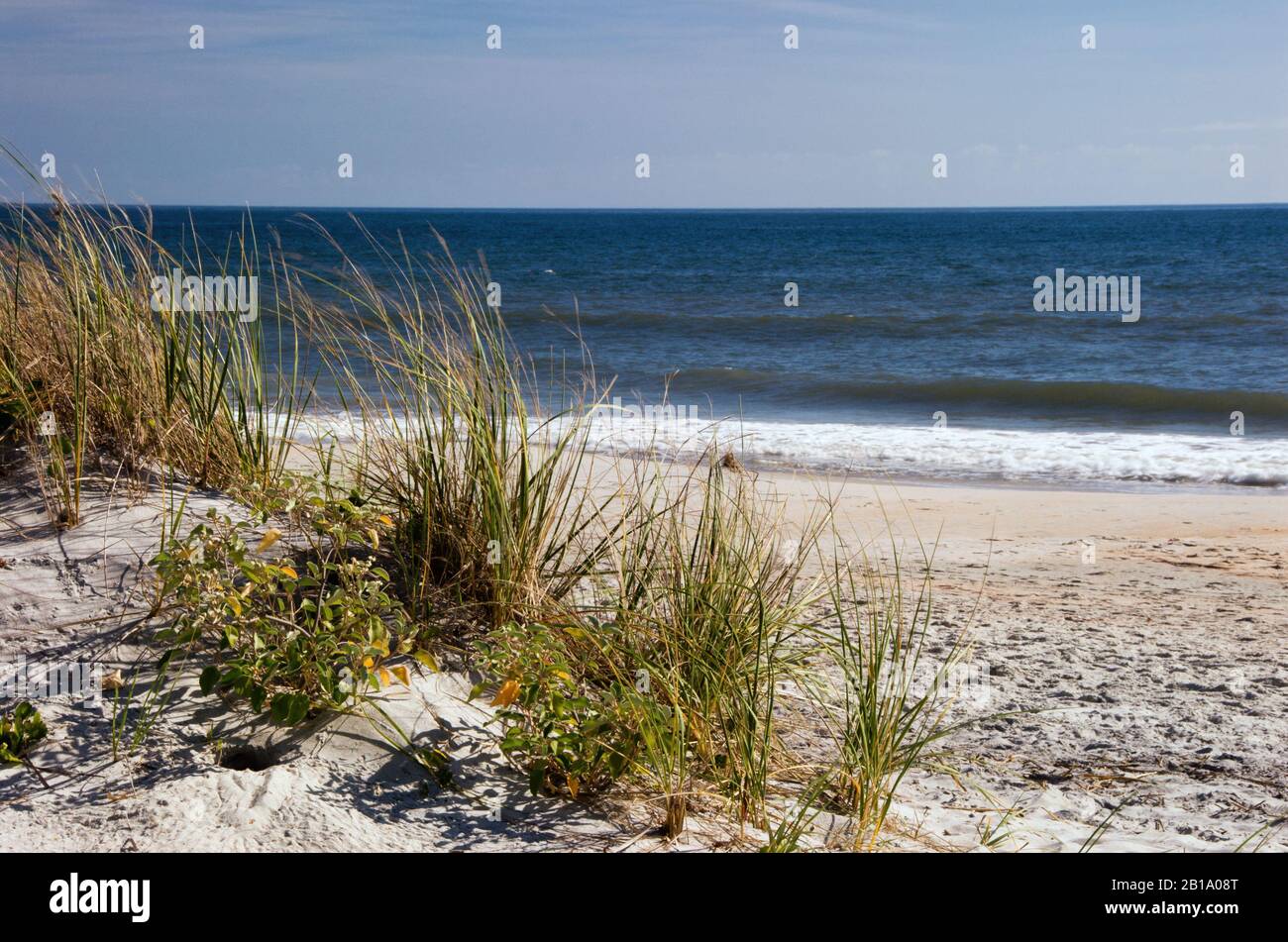 Tranquilla scena dell'Oceano Atlantico con dune di sabbia e erbe che soffiano nel vento a Myrtle Beach South Carolina. Foto Stock