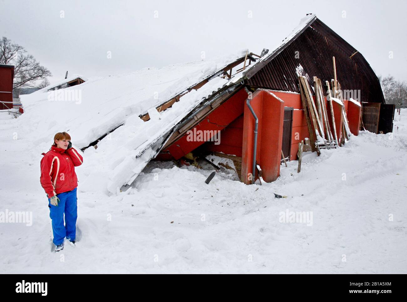 Un fienile a Älö tre miglia a sud di Kisa crollò il venerdì pomeriggio sotto la copertura della neve. Cinquanta animali dovevano essere salvati dall'edificio. Ma né gli esseri umani né gli animali sono stati danneggiati. "E 'davvero angelic guardia," dice Annie Hermansson, figlia in fattoria. Foto Jeppe Gustafsson Foto Stock
