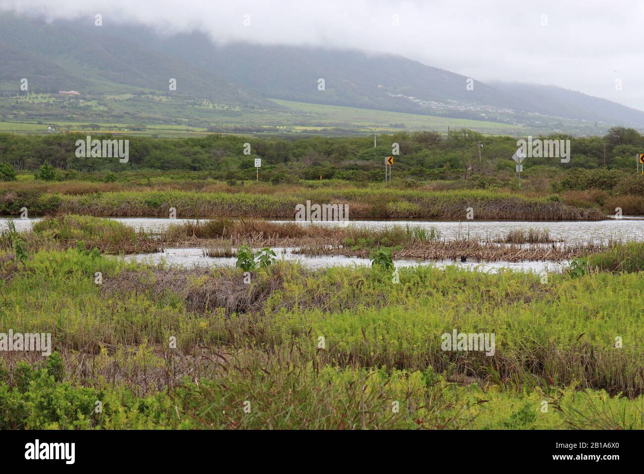 Le zone umide del Kealia Pond National Wildlife Refuge a Kihei, Maui, Hawaii con le montagne sullo sfondo Foto Stock
